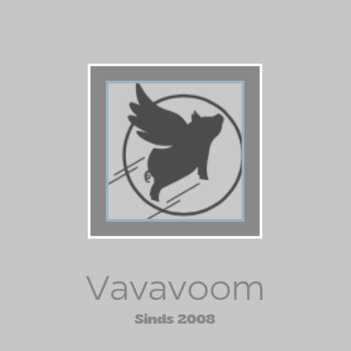 Logo van Vavavoom met een gestileerde afbeelding van een vliegend varken in een cirkel, ondertekend met 'Vavavoom sinds 2008'.